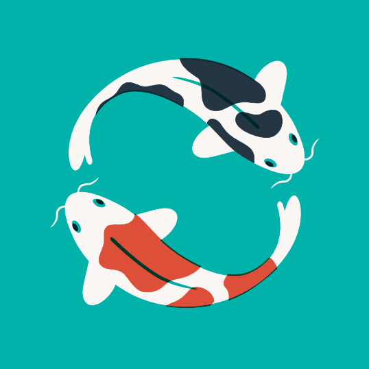 Koi